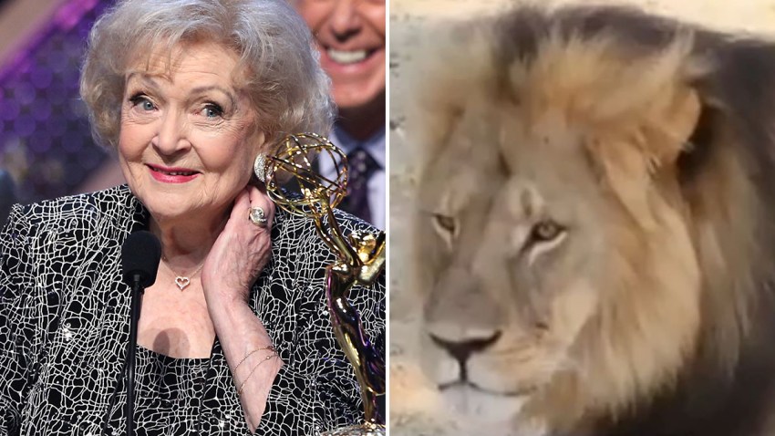 Betty-White-Cecil