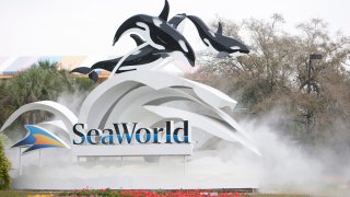 7. SeaWorld Orlando