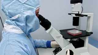 TLMD-laboratorio-microscopio-EFE-11758860w