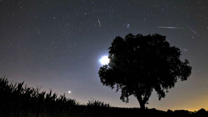 TLMD-lluvia-de-meteoros-estrellas-fugaces-perseidas-shutterstock_121353094