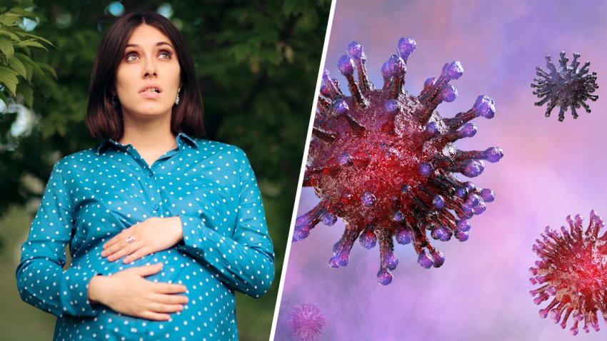 Embarazadas y bebés: cómo los afecta el coronavirus