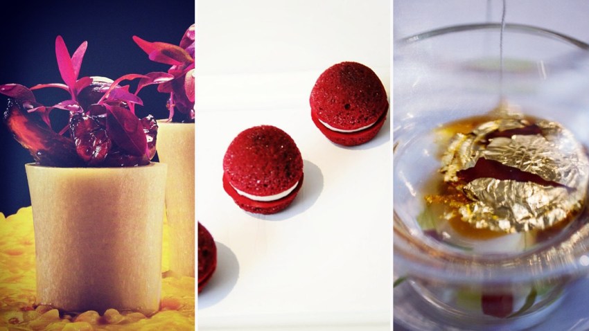 fotos-chef-instagram