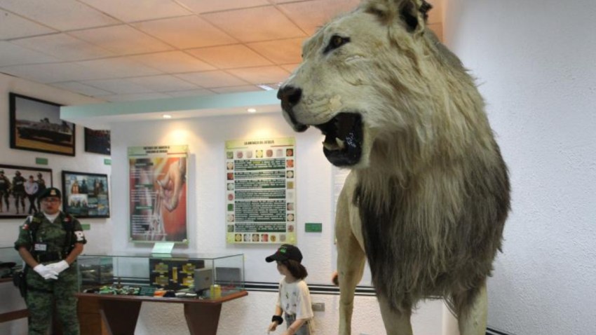 mexico-ejercito-museo-enervante
