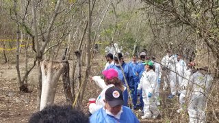 Personas recuperan cuerpos de fosas clandestinas.