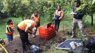 Científicos analizan sismos en Michoacán
