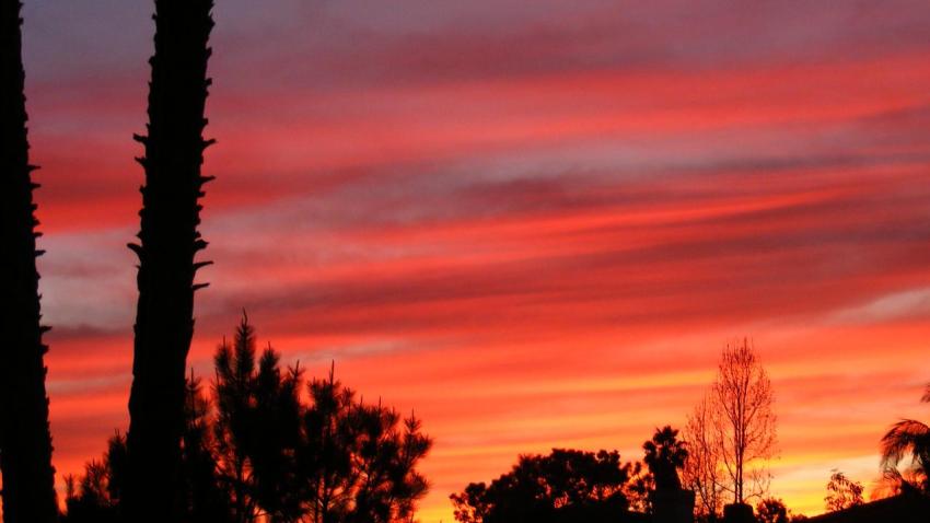tren-descarrilado-pleasanton
