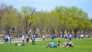 Aconglomeraciones en parque como esta son las que quedaron prohibidas en el Condado Harris.