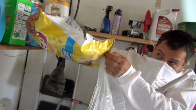 tlmd_raton_papitas_fritas