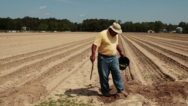 tlmd_trabajador_agricola_generic