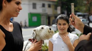 Bendición de los Animales