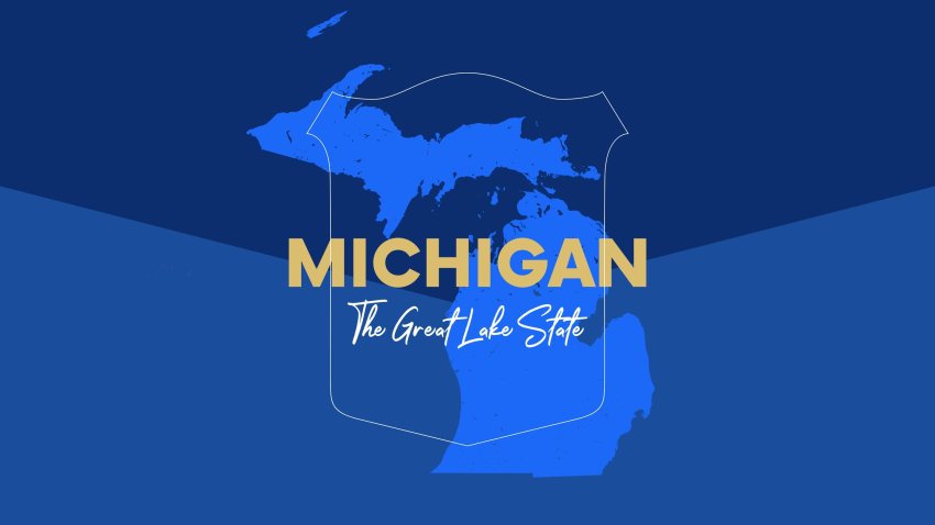 11. Michigan