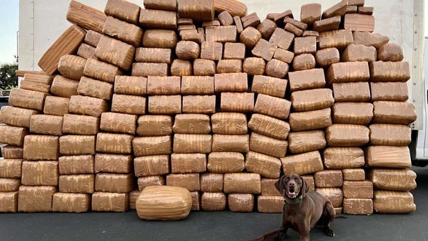 K-9 Milo crouches in front of more than 5,000 pounds of apprehended methamphetamine.