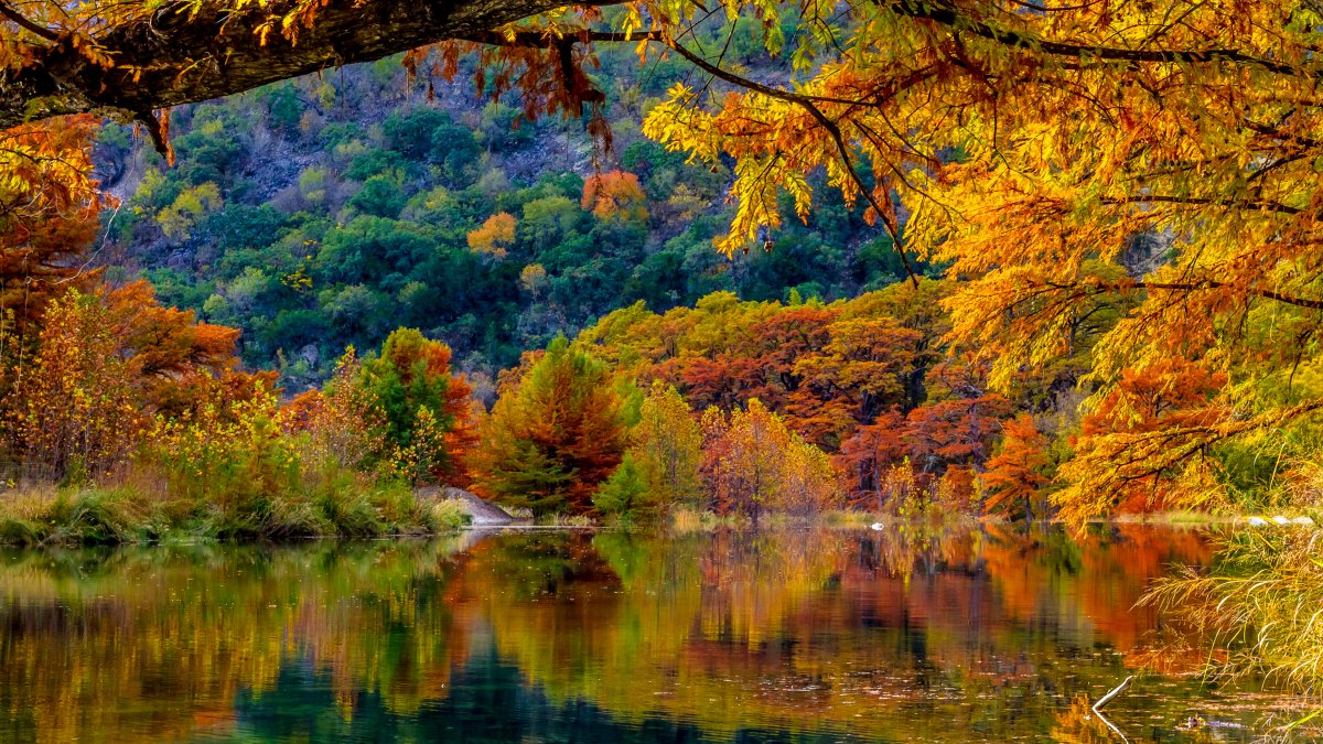 Otoño en el centro de Texas: En estos parques puedes apreciar los ...