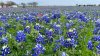 ¿Cuánto dura el primer día de la primavera en Texas?