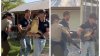 Descubren caimán en el patio de una casa en Texas: llevaba 20 años como mascota