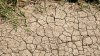 Calor extremo complicará la sequía en Texas: siguen las temperaturas sobre los 100 grados