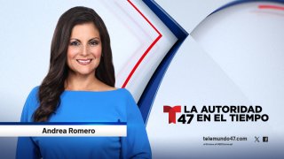 T47_AndreaRomero_ WebProfile