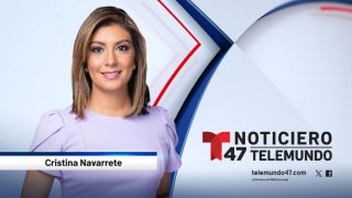 T47_CristinaNavarrete_ WebProfile