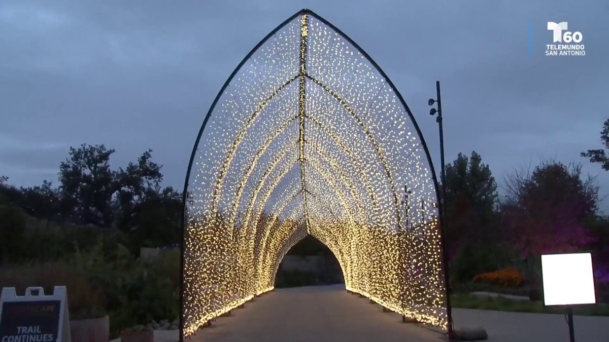 Shohei tiene su primera victoria (de muchas más) en postemporada en los  libros de récords! : r/Dodgers, image size:1200x675