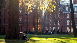 Caen un 17 % las solicitudes anticipadas para estudiar en la Universidad de Harvard