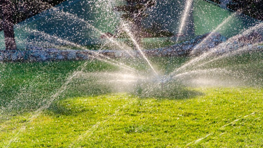 A sprinkler with multiple streams watering green grass.