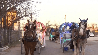 ¿Carruajes eléctricos? Sigue discusión por caballos en el centro de San Antonio