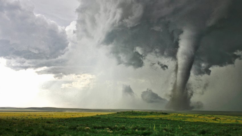 Campo, CO, tornado seen in sharp contrast with yellow wildflowers and clear skies