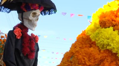 Dale Play:  Celebración de Halloween y Día de Muertos