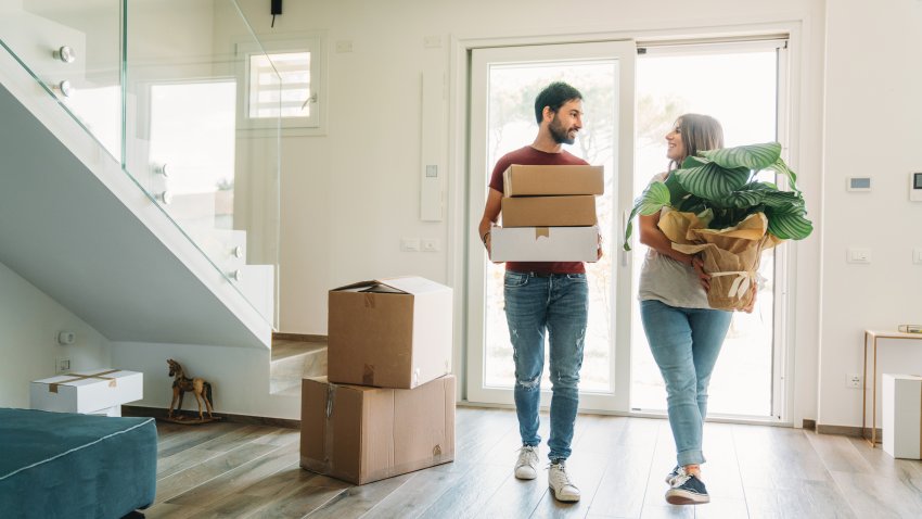 A couple in love are moving into their new home together. They are holding cardboard boxes and a plant. They are happy about their new beginning.