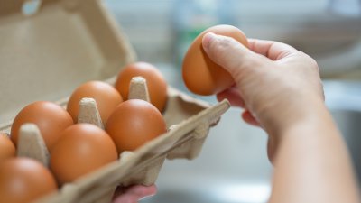 Por esta razón los huevos podrían costar menos en San Antonio