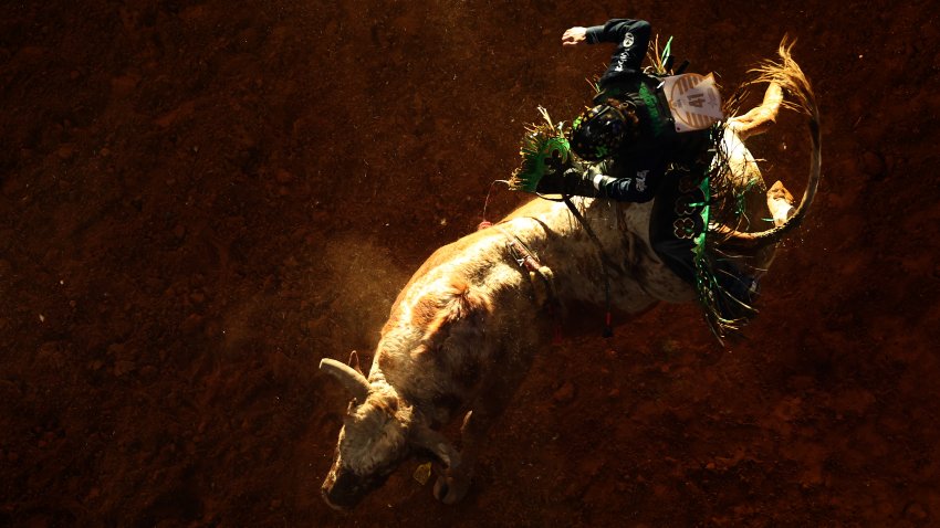 Josh Frost, montando a Bonanza, compite en el evento de monta de toros durante The American Rodeo by Teton Ridge en Globe Life Field el 09 de marzo de 2024 en Arlington, Texas. (Foto de Maddie Meyer/Getty Images para Teton Ridge)