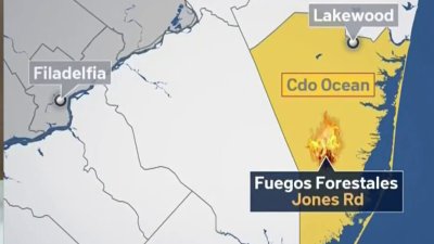 ¿Qué se sabe sobre los daños del incendio forestal en el condado Ocean en NJ?