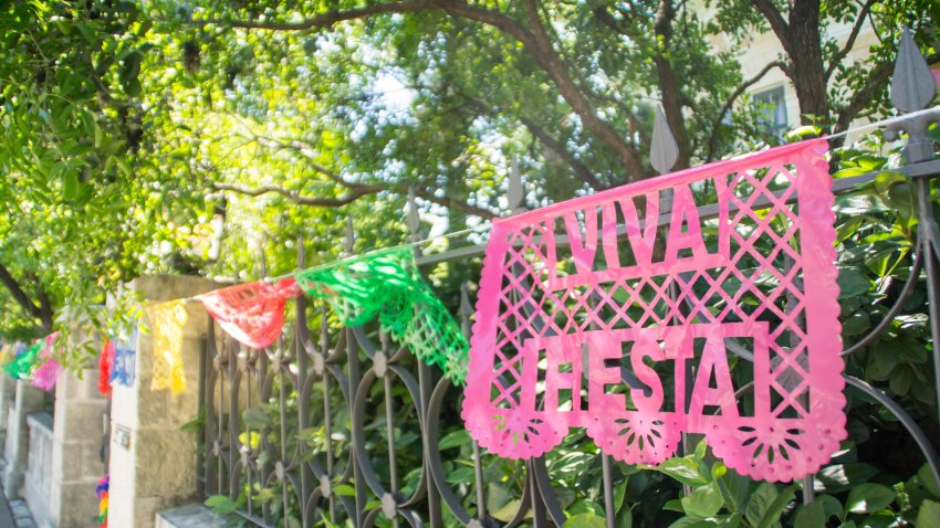 Viva Fiesta decorations during San Antonio fiesta in King William historic district, Texas, USA