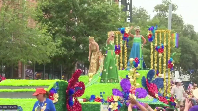 Sigue la historia, tradición y fiesta en el Desfile “Battle of the Flowers” 