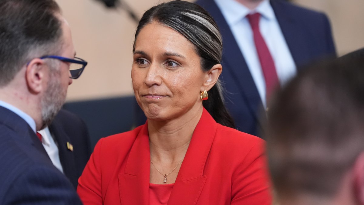 Tulsi Gabbard renunciará como directora de Inteligencia Nacional ...