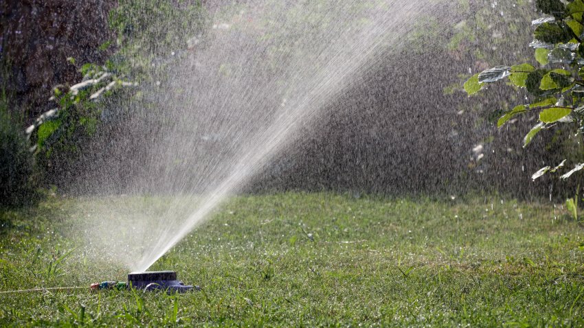 sprinkler sprays water on the lawn
