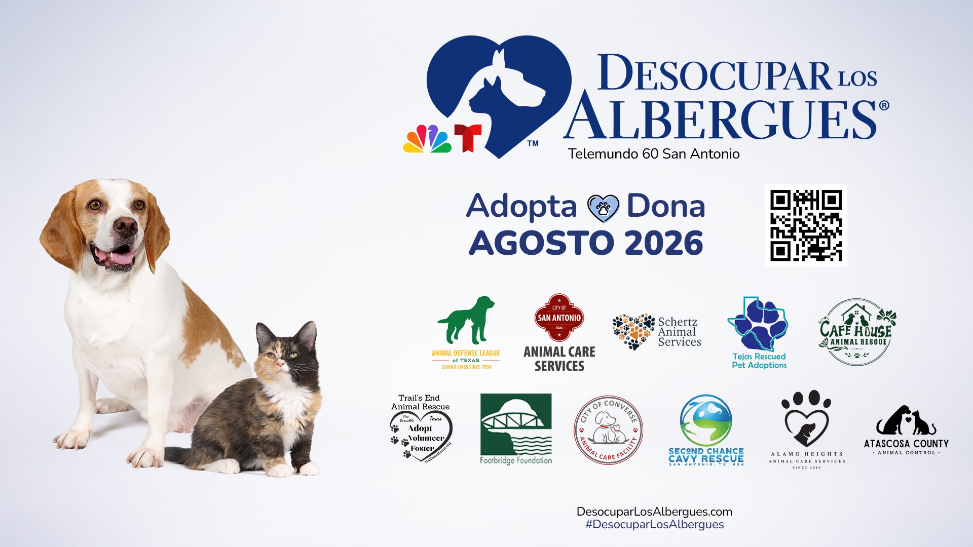 Conoce los centros participantes de Desocupar los Albergues 2026