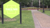 Sounds of Downtown: invitan a serie de conciertos gratis en el Parque Travis de San Antonio