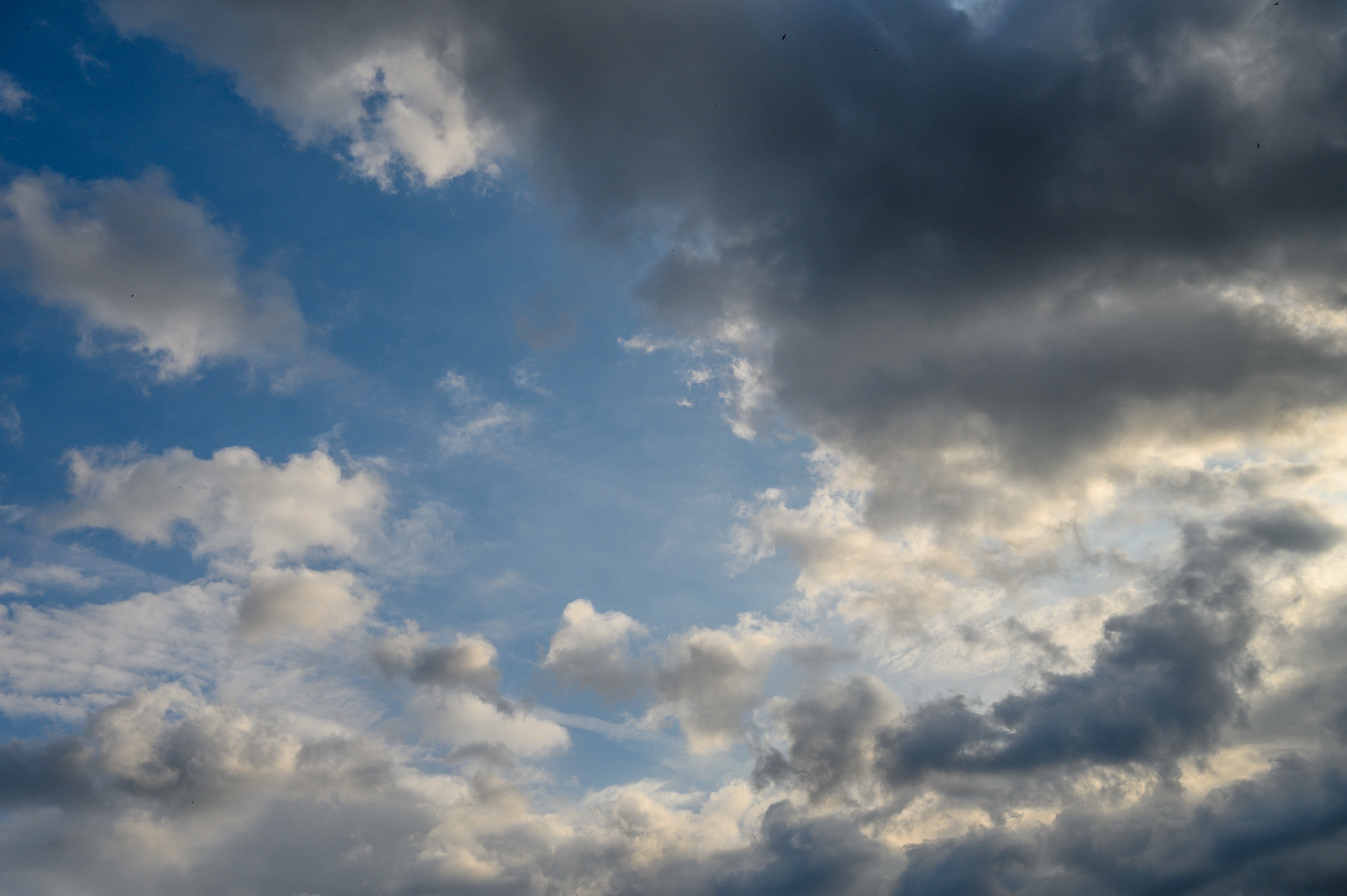 Frente frío trae fuertes vientos y un descenso de temperaturas en San Antonio