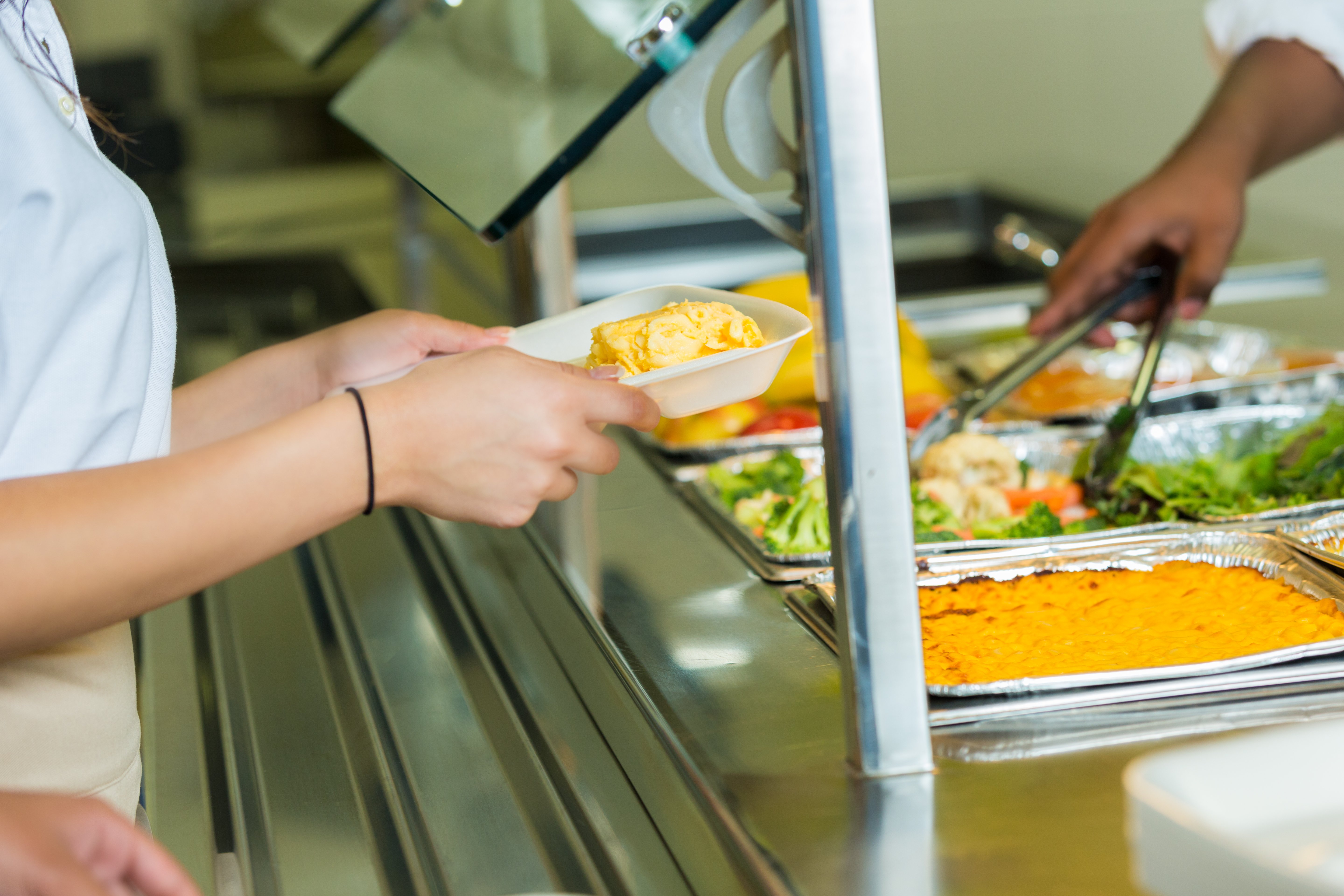 Sorpresa en el almuerzo: zorro cae del techo de la cafetería en preparatoria de San Antonio