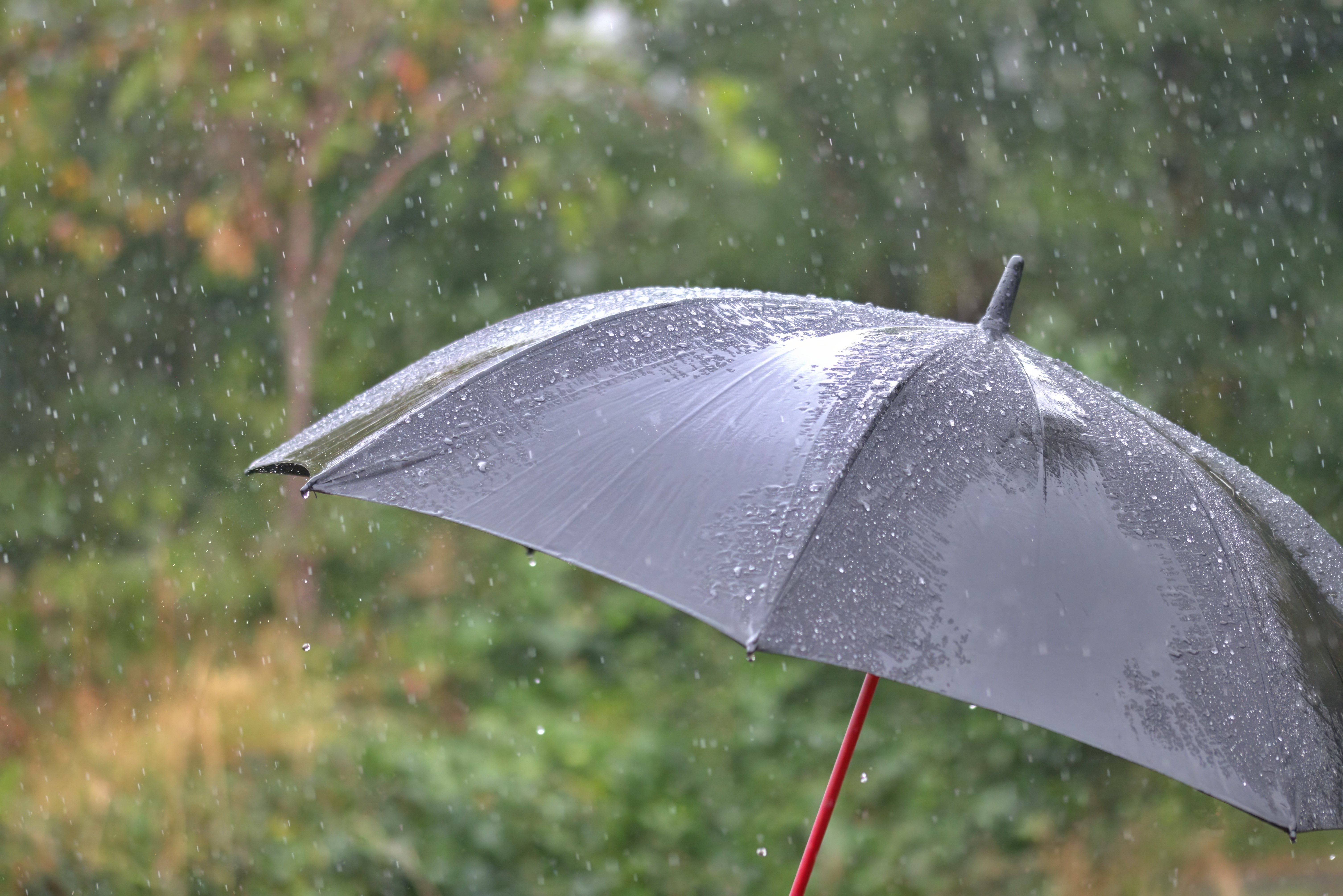 Seguimos bajo vigilancia por inundación hasta la noche de este viernes