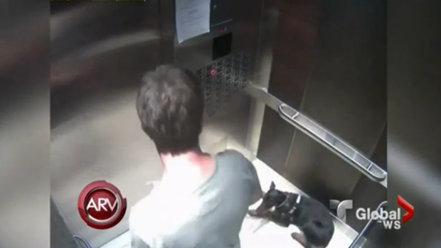 Video: Lo más rojo de "Al Rojo Vivo"