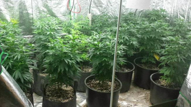 Washington DC: sí a la marihuana